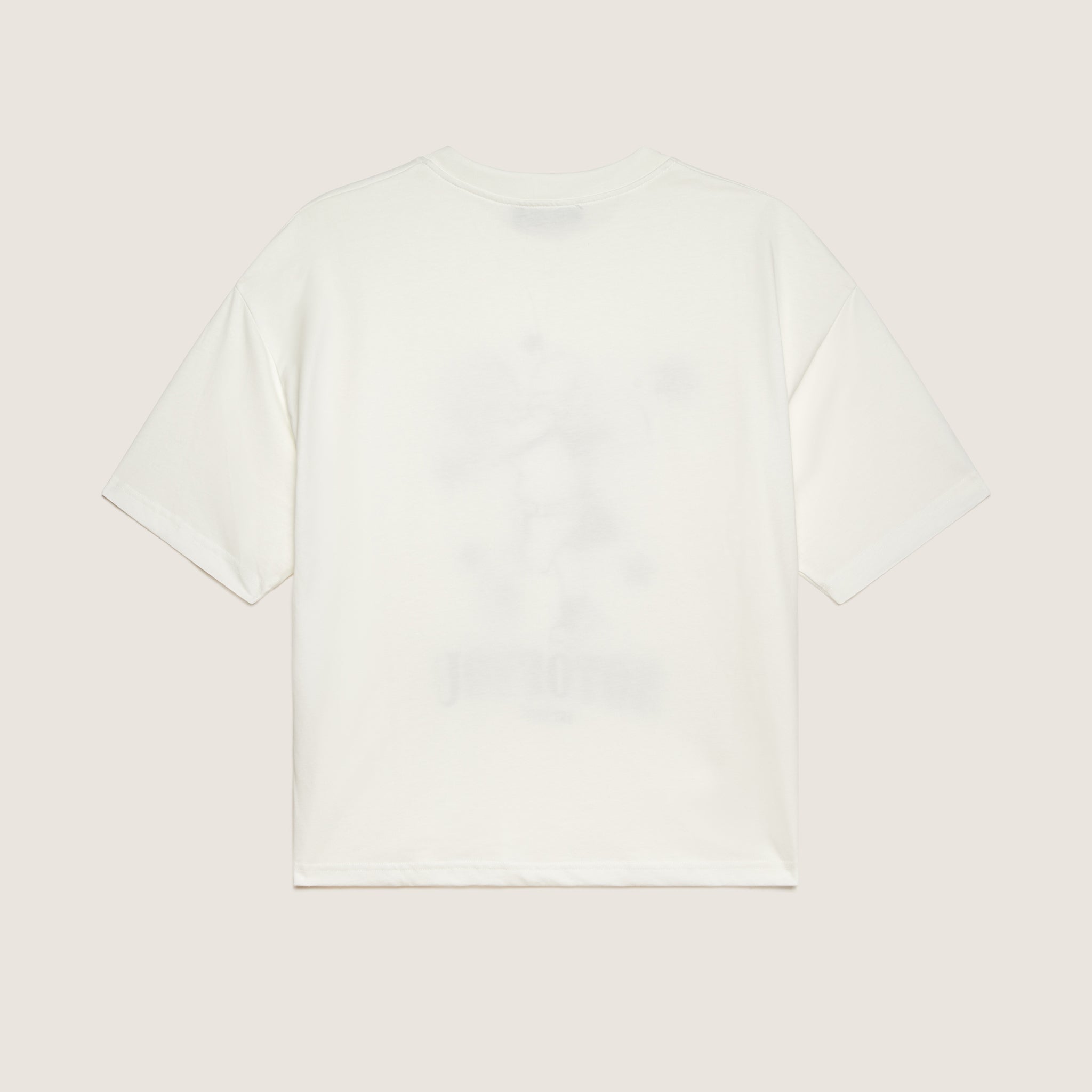 T-Shirt - "Haters make me famous"